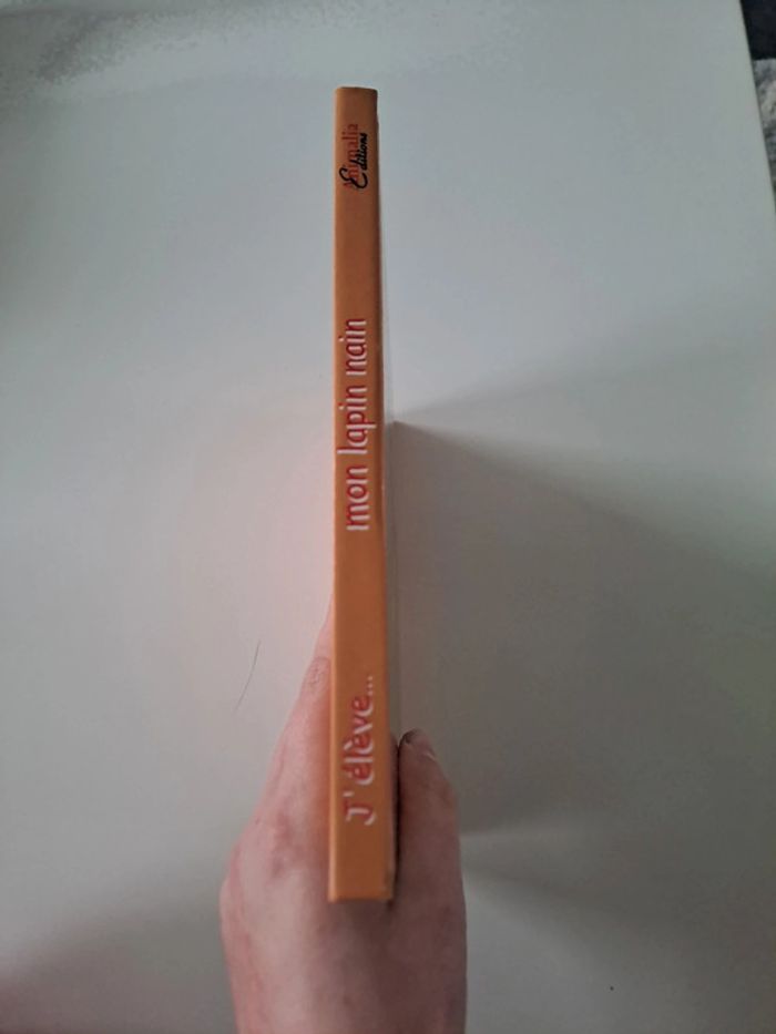 J'élève mon lapin nain - photo numéro 4