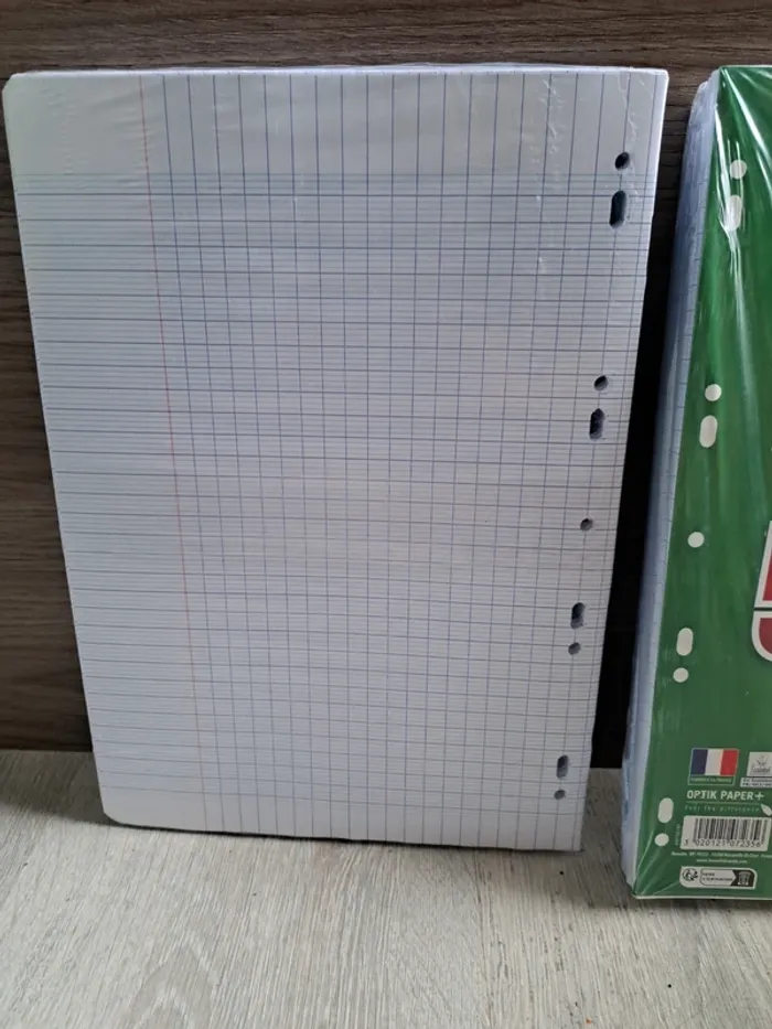 Feuilles simples + Feuilles doubles Oxford - photo numéro 4