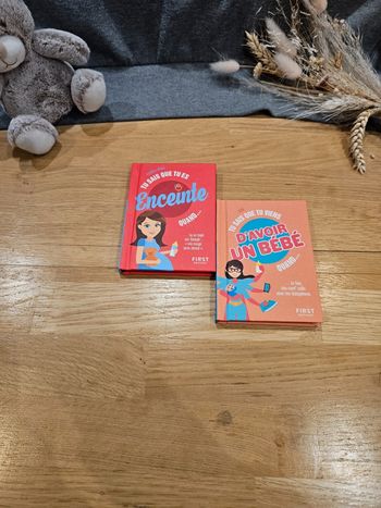 Lot de 2 minis livres grossesses/bébé