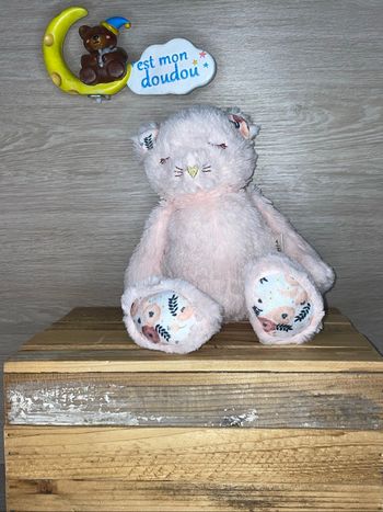 DIV393 doudou chat 🐱 ostaria