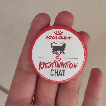 Broche destination chat