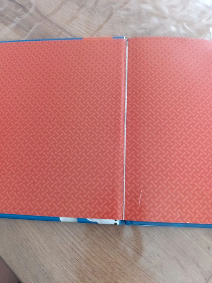 Livre paw patrol - photo numéro 2