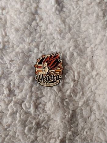 Pins dragon Ball vegeta
