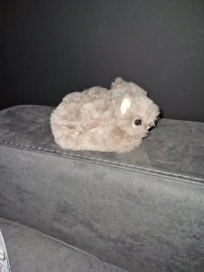 Pantoufles 🐹0/3 - photo numéro 2