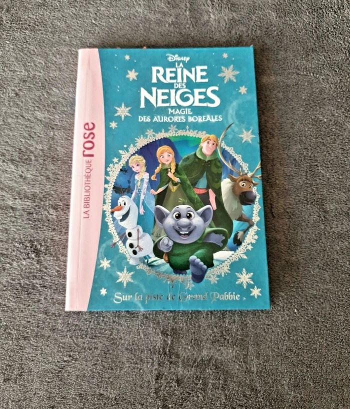 Livre La reine des neiges 23