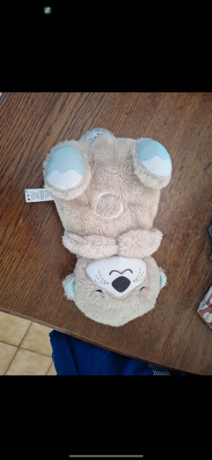 Veilleuse loutre