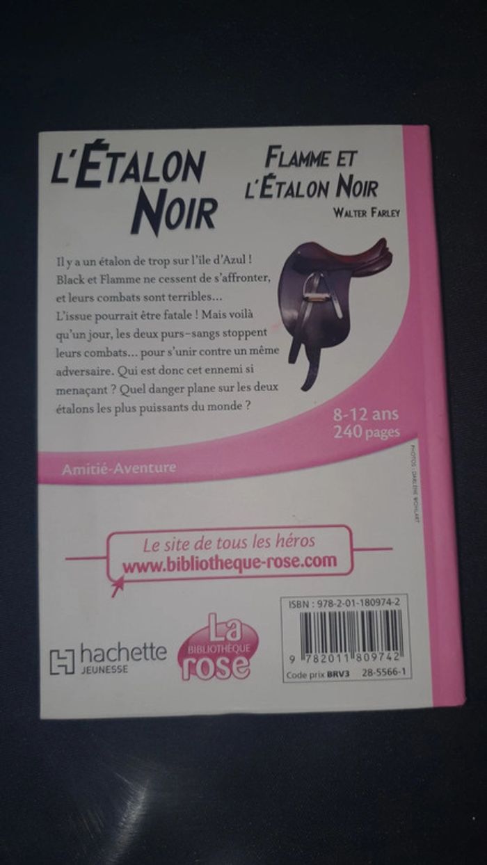 Flamme et l'Etalon noir - photo numéro 2