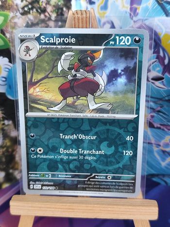 Scalproie reverse 133/198 écarlate et violet