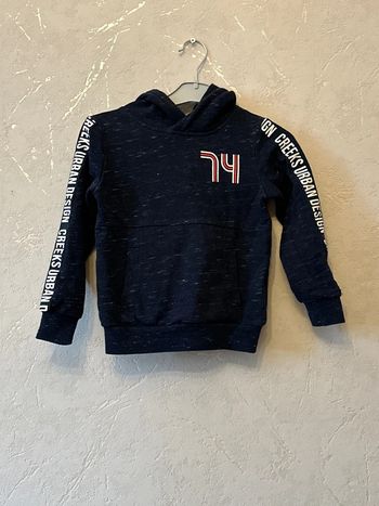 Pull à capuche taille 5 ans