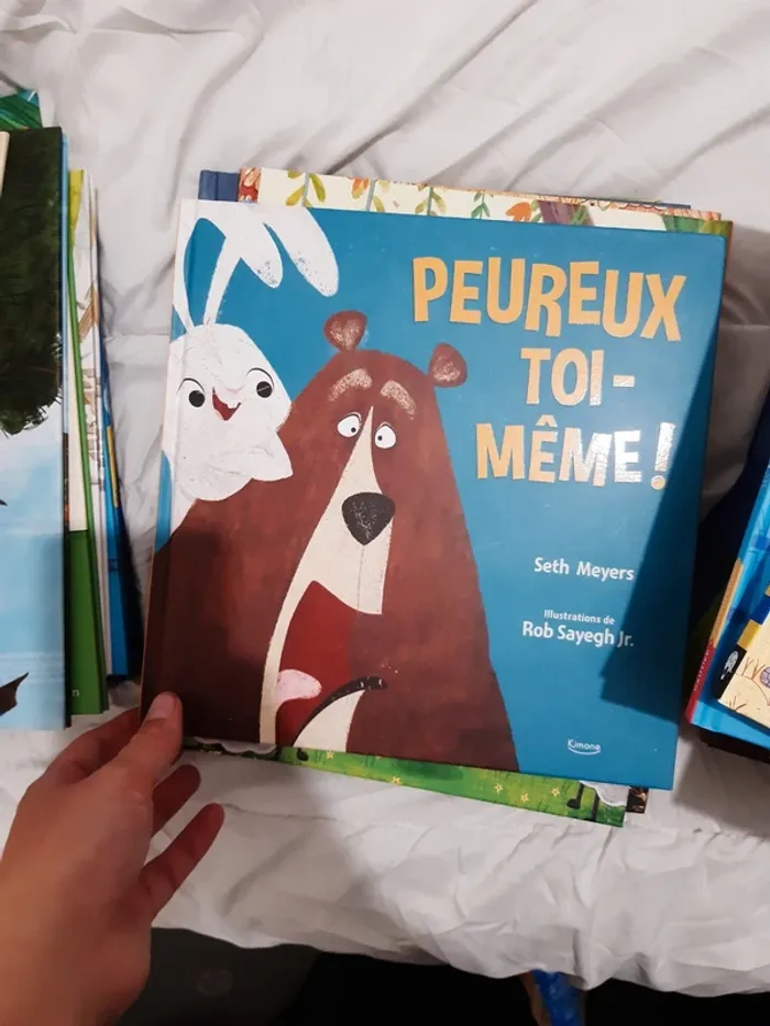Immense lot de livres jeunesse - photo numéro 15