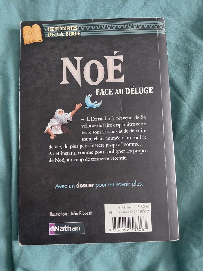 Livre : Noé face au déluge de Flore Talamon - photo numéro 2