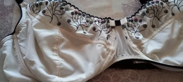Soutien gorge - photo numéro 2