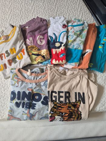 Lot tee shirts dpam