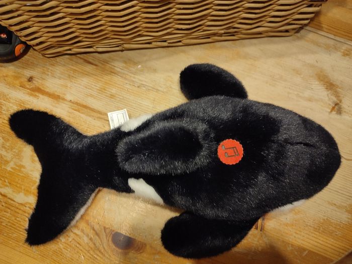 Orque - photo numéro 3