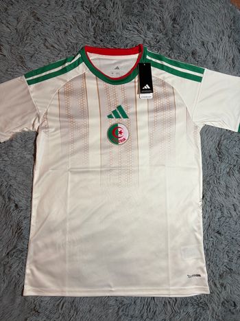 Maillot Algérie coupe du monde 2026 M