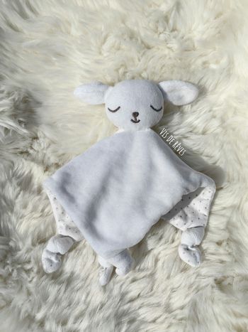 Doudou semi plat chien Bout 'Chou Doudou semi plat chien Bout 'Chou  u