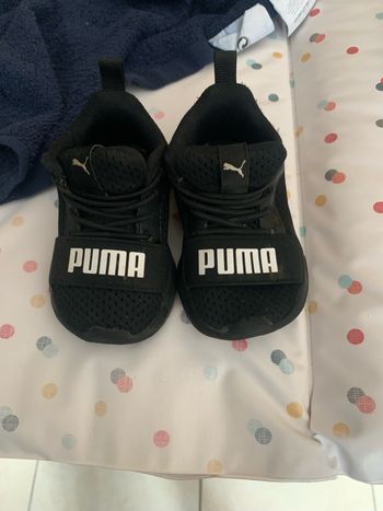 Basket puma