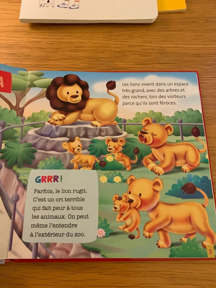 Livre Loumba le lion - photo numéro 2