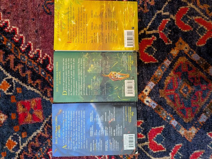 Lot de 3 livres la Guerre des Clans + Le guide illustré - photo numéro 6