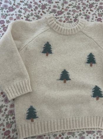 Pull hiver