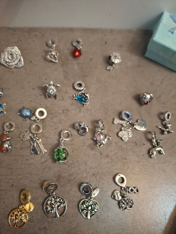 Diverses charms pour bracelet pandora - photo numéro 5