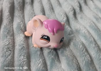 Petshop cochon d'inde 1406