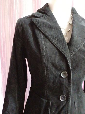 Blazers centrées en velours épaisse