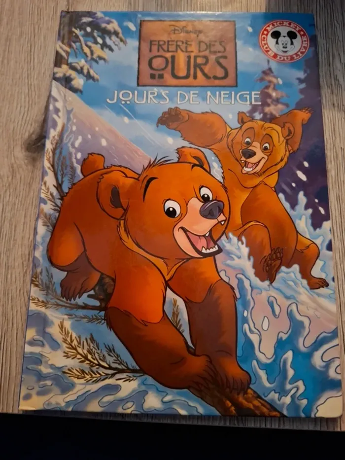 Livre  frère des ours  jours de neige