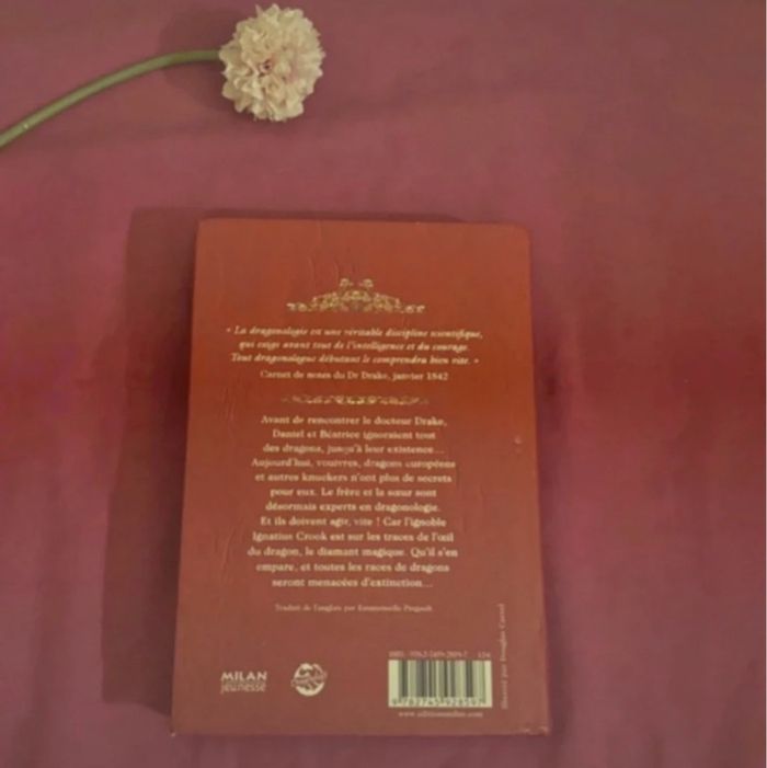 A la recherche de l’œil du dragon - photo numéro 2