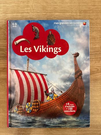 Livre les Vikings