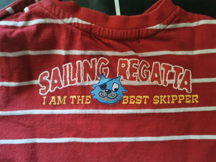 lot de 2 t-shirts taille 12 mois - photo numéro 10