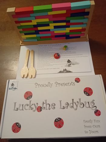 Jeu de briques en bois neuf