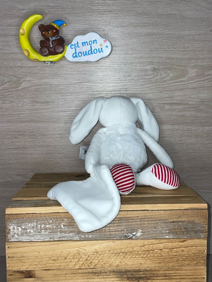 NAT491 doudou lapin 🐰 babynat - photo numéro 2