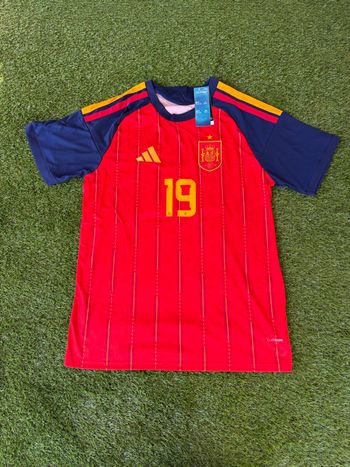 Maillot de foot Espagne coupe du monde 