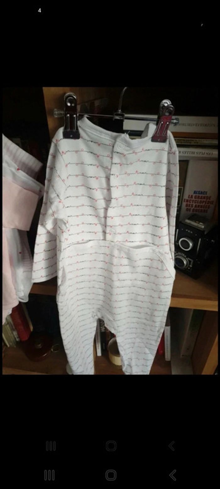 Lot 4 bodys + 1 dors bien en coton bio 6 mois - photo numéro 9