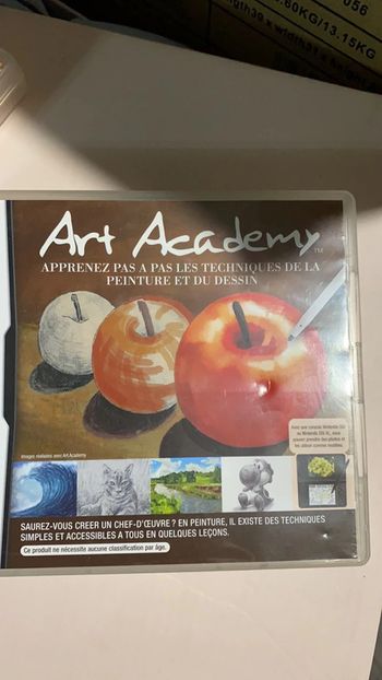 Jeu ds art academy