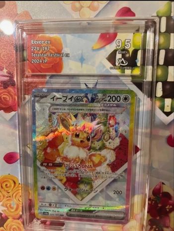 Evoli carte et cadre Pokémon 