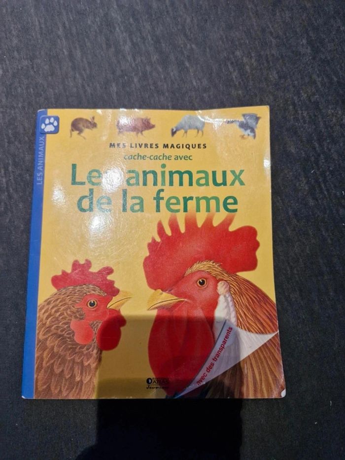 Livre magique cache cache - photo numéro 6