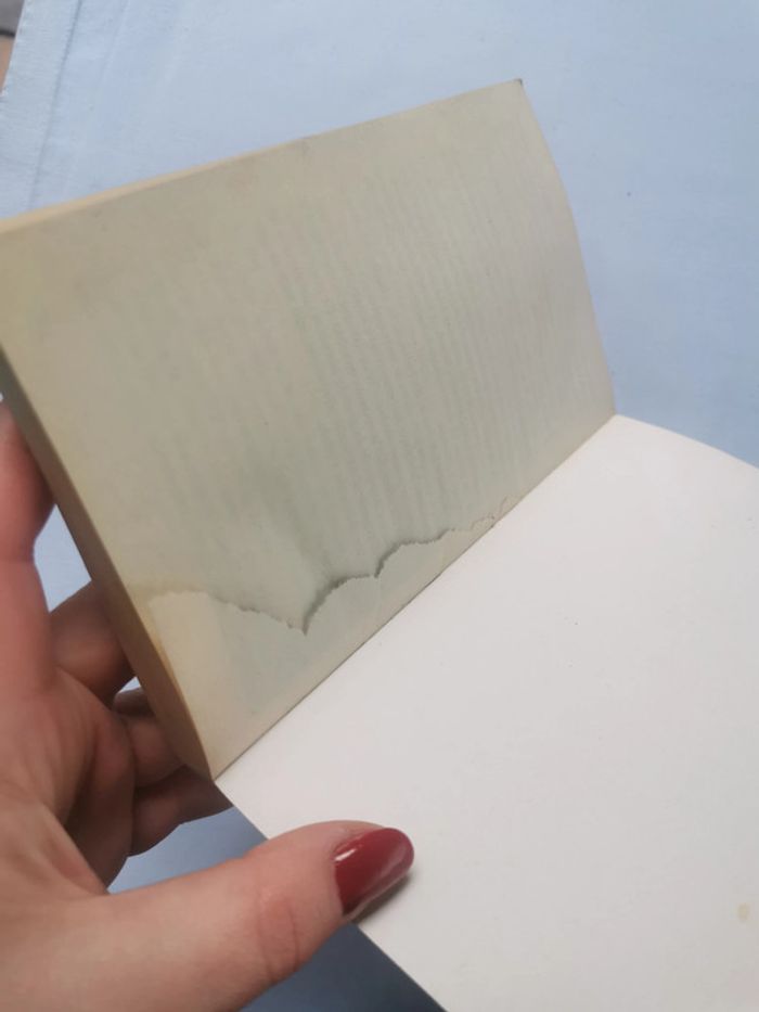 La Controverse de Valladolid, livre de Jean-Claude Carrière - photo numéro 3