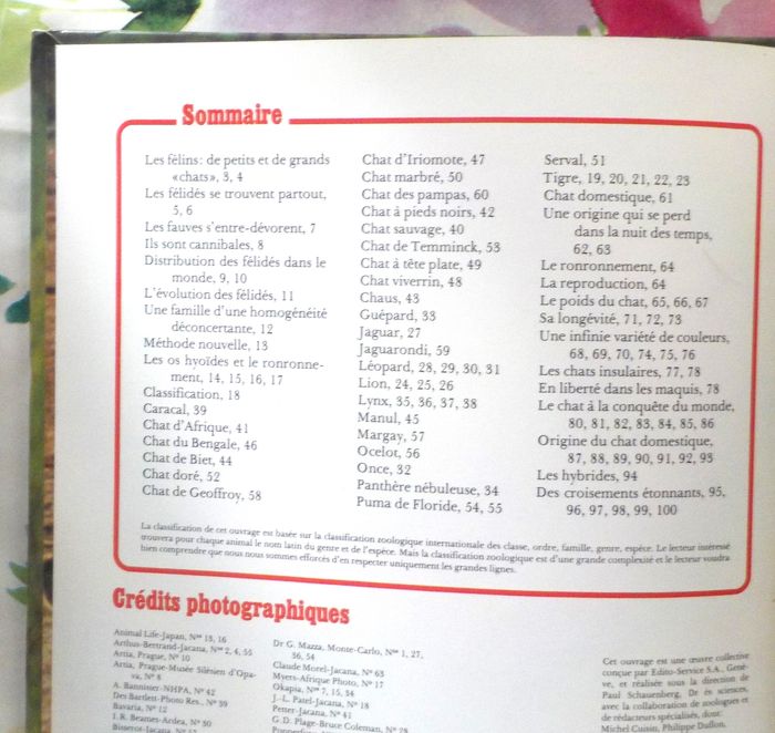 LES FELINS Panorama de la vie animale Ed. de l'Agora - photo numéro 5