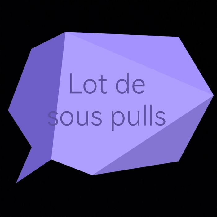 Lot de sous pulls