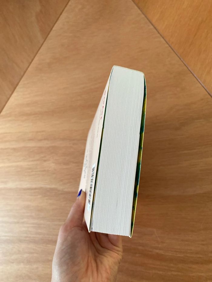 Roman Il nous restera ça - Virginie Grimaldi - photo numéro 5