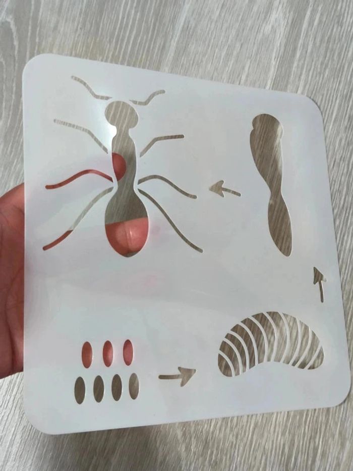 Pochoir du cycle de vie de la fourmi - photo numéro 3