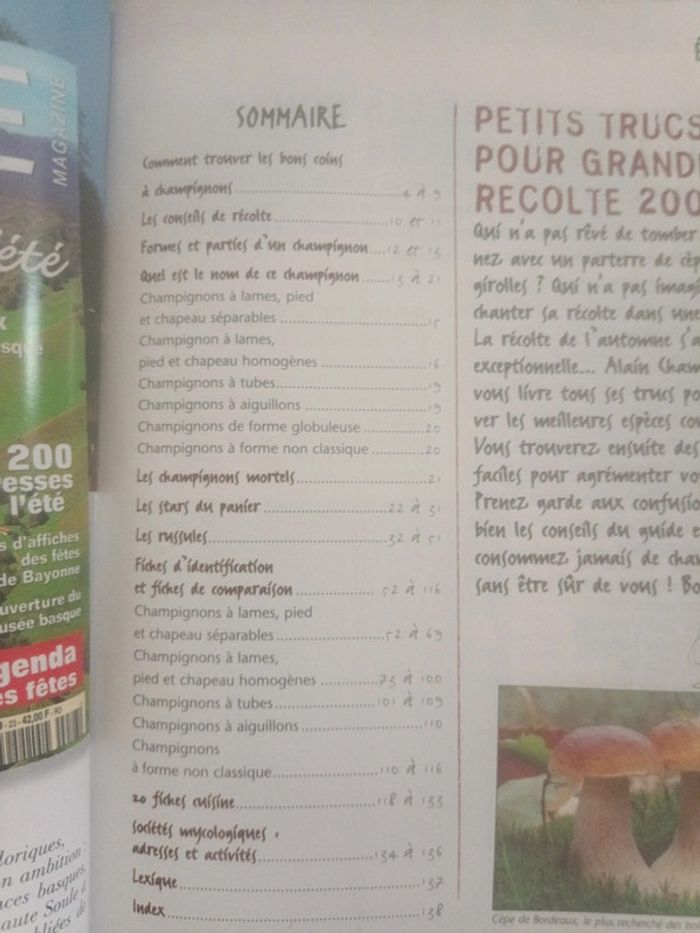 Le guide des champignons - photo numéro 4
