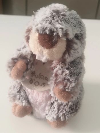 Castor marmotte Histoire d'ours