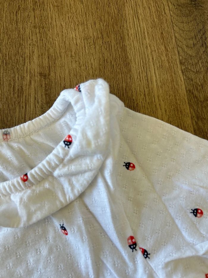 Tee shirt - photo numéro 3