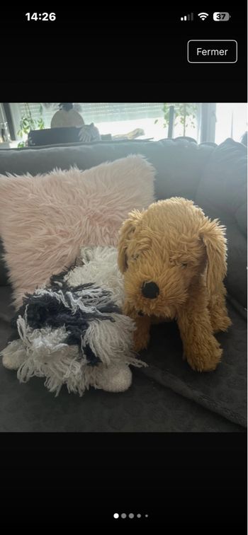 Lots de 2 chiens peluches 