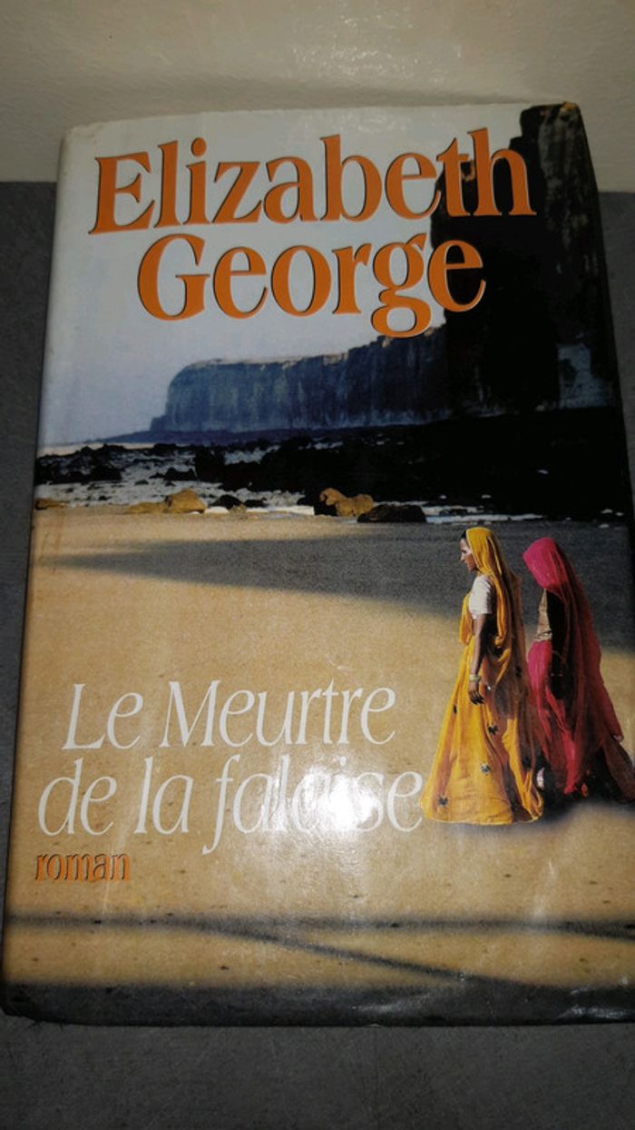 Roman  le meurtre  de la falaise