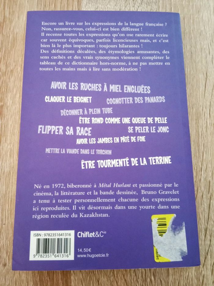 Bruno Gravelet 🪅 Vos gueules les mouettes! - photo numéro 2
