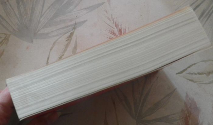 Samantha, bonne à rien faire de Sophie Kinsella Ed. Piment - photo numéro 4